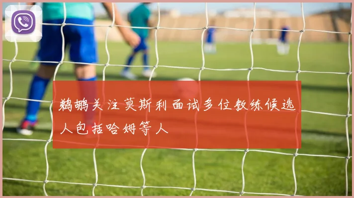 鹈鹕关注莫斯利面试多位教练候选人包括哈姆等人